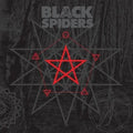 Black Spiders LP by Black Spiders album artwork