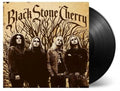 Self-Titled by Black Stone Cherry album artwork