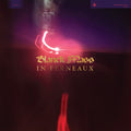 In Ferneaux LP by Blanck Mass album artwork