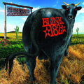 Dude Ranch LP by Blink 182 album artwork
