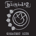 Greatest Hits 2LP by Blink 182 album artwork