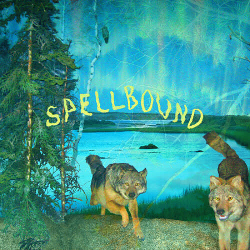 Spellbound LP by Boyscott album artwork