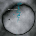 Eye of the Hunter / Live at The I.C.A. 2LP by Brendan Perry album artwork