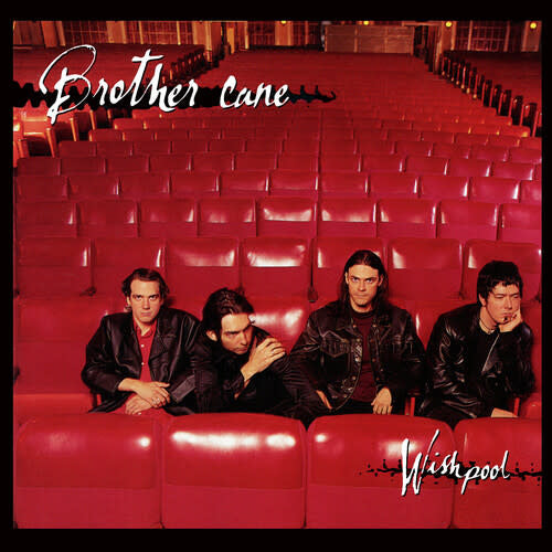 Wishpool LP by Brother Cane album artwork
