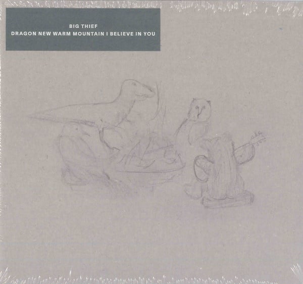 Dragon New Warm Mountain I Believe in You CD by Big Thief album artwork