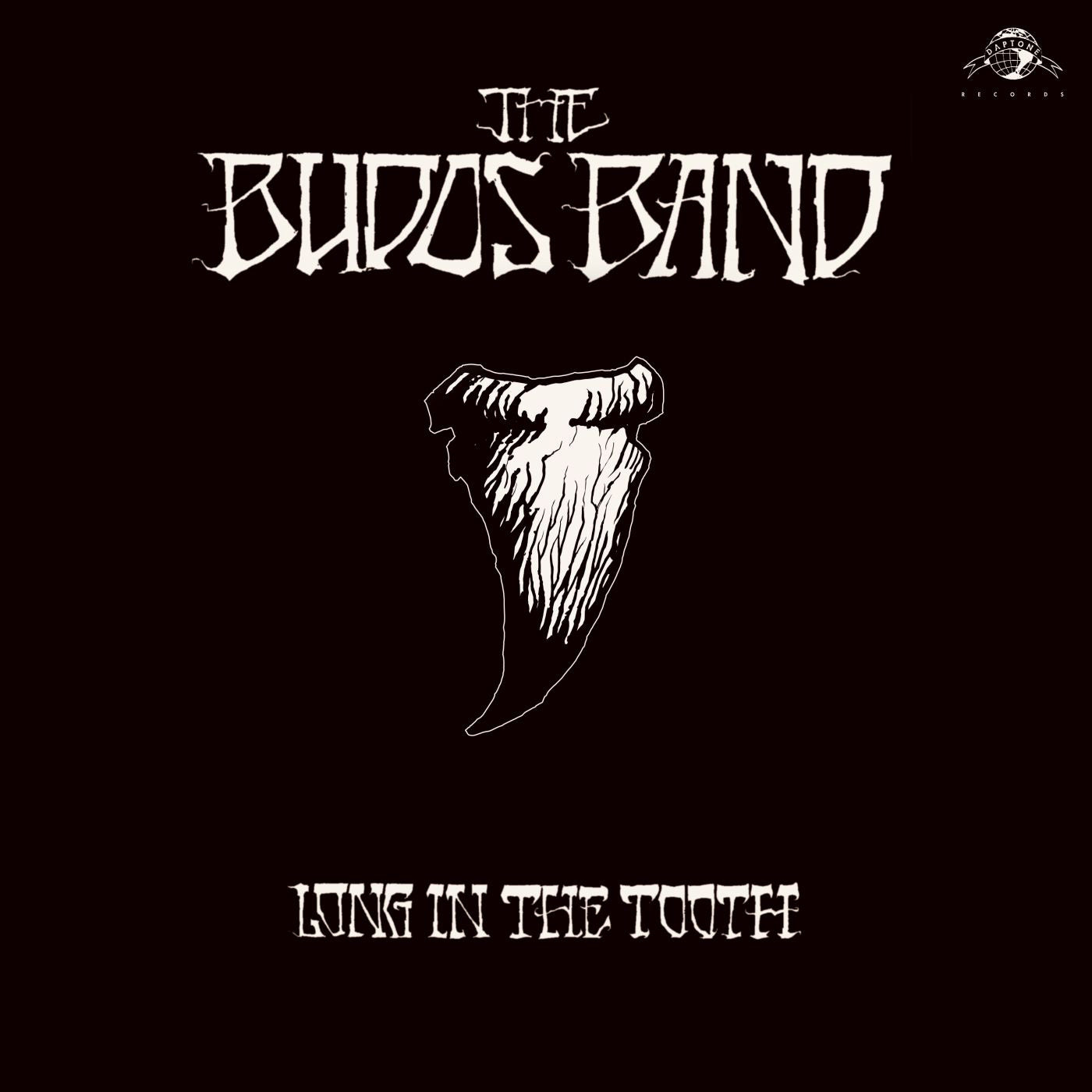 Long in the Tooth LP by The Budos Band album artwork