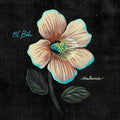 Balance LP by El Buho album artwork