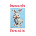 Bunny LP by Beach Fossils album artwork