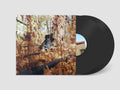 Golliwog LP by Billy Woods album artwork