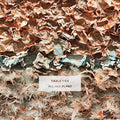 All Her Plans LP by Cable Ties album artwork