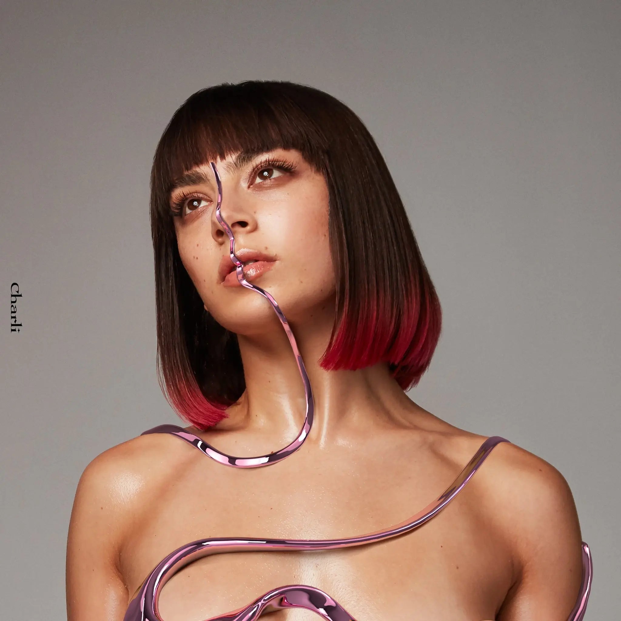 Charli 2LP by Charli XCX album artwork