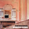 Cherry Tree CD by The National album artwork