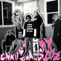 Chris Black Changed my Life LP by Portugal the Man album artwork