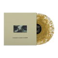Everybody is Going to Heaven LP by Citizen album artwork