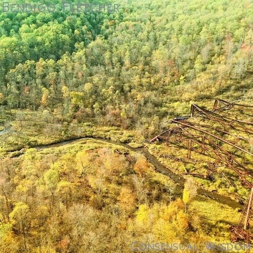 Consensual Wisdom LP by Bendigo Fletcher album artwork