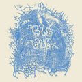 Days of Disarray LP by Big Laugh album artwork