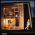 Crawler LP by Idles album artwork
