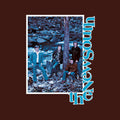 The New South LP by J.D. and The New South Crowe album artwork