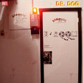 B-Room LP by Dr. Dog album artwork