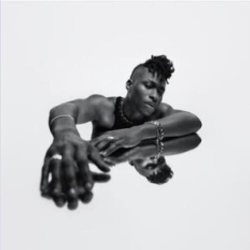 The Algorithm 2LP by Lucky Daye album artwork