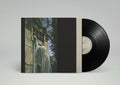 Within the Realm of a Dying Sun LP by Dead Can Dance album artwork