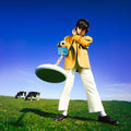 What Happened to the Beach? LP by Declan Mckenna album artwork