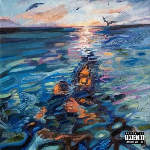 adult SW!M LP by deem spencer album artwork