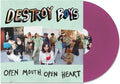 Open Mouth, Open Heart LP by Destroy Boys album artwork