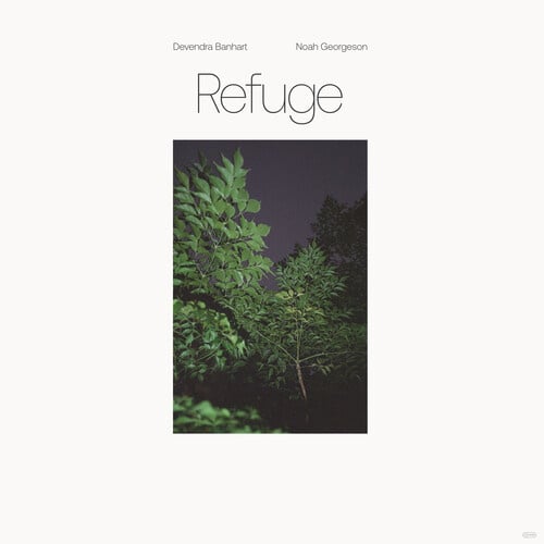 Refuge 2LP by Devendra Banhart album artwork