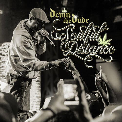 Soulful Distance 2LP by Devin the Dude album artwork