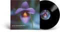 Underground Vibes LP by DJ Cam album artwork