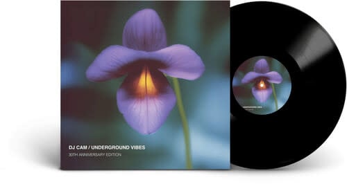 Underground Vibes LP by DJ Cam album artwork