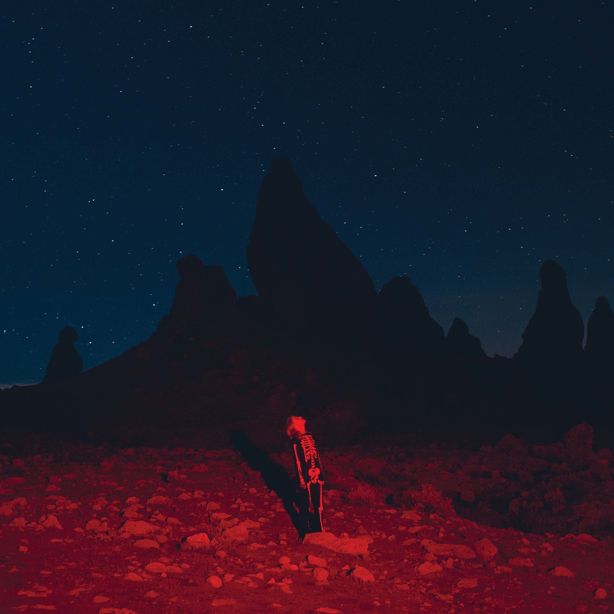 Punisher LP by Phoebe Bridgers album artwork