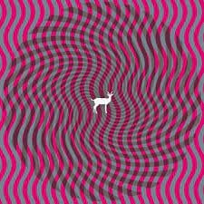 Cryptograms / Flourescent Grey 2LP by Deerhunter album artwork