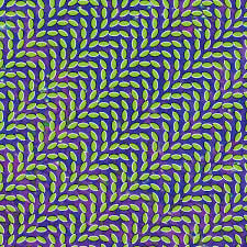 Merriweather Post Pavilion 2LP by Animal Collective album artwork