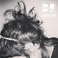 KINGSIZED LP by Dressy Bessy album artwork