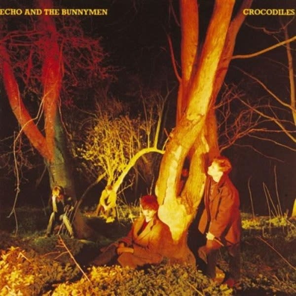 Crocodiles LP by Echo & The Bunnymen album artwork