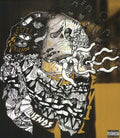 Evil Friends LP by Portugal the Man album artwork