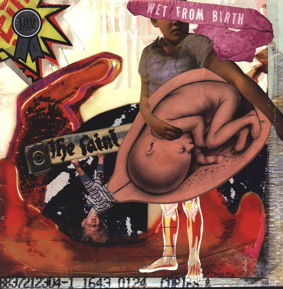 Wet From Birth 2LP by The Faint album artwork
