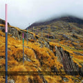 From The Hip 4CD by Section 25 album artwork