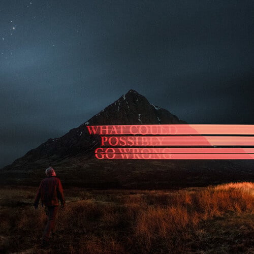 What Could Possibly Go Wrong LP by Dominic Fike album artwork