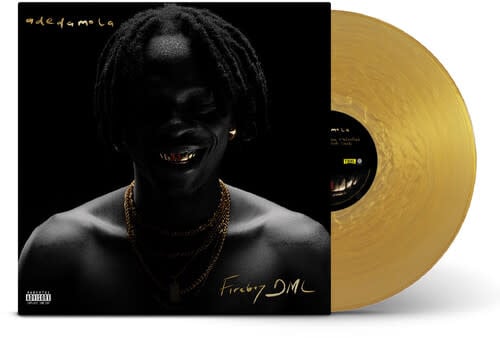 Adedamola LP by Fireboy DML album artwork