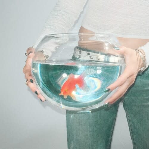 Frog Song LP by Fish Narc album artwork