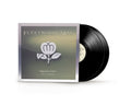 Greatest Hits 2LP by Fleetwood Mac album artwork