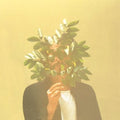 French Kiwi Juice LP by French Kiwi Juice album artwork