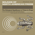 Sounds of North American Frogs LP by Various album artwork