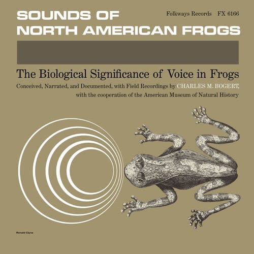 Sounds of North American Frogs LP by Various album artwork
