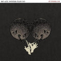 Do All Words Can Do LP by Fucked Up album artwork