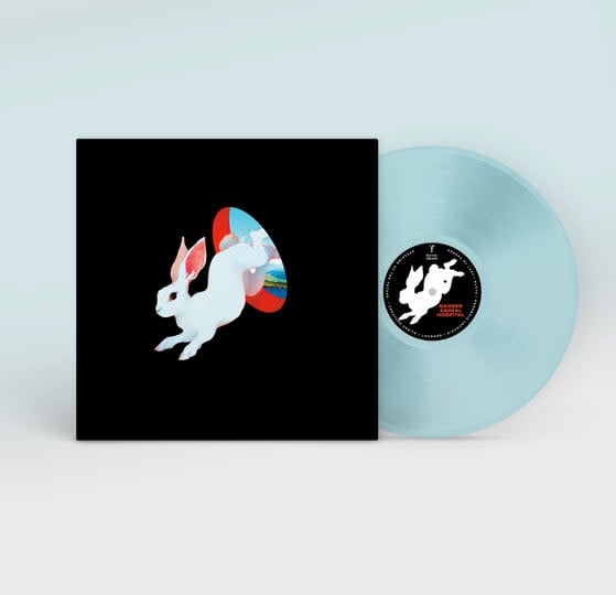 Animal Hospital LP by Ganser album artwork
