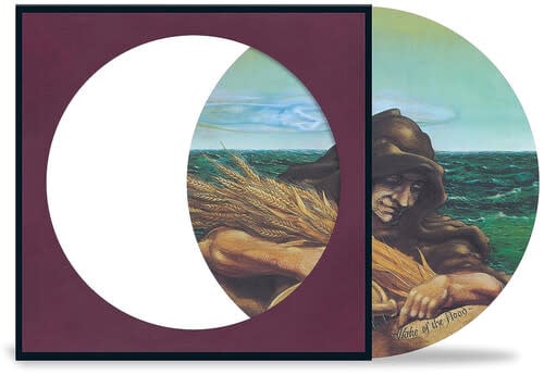 Wake of the Flood LP by Grateful Dead album artwork